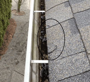 circled damaged shingles caused by power washer